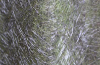 Turf Hill fibreglass roof work